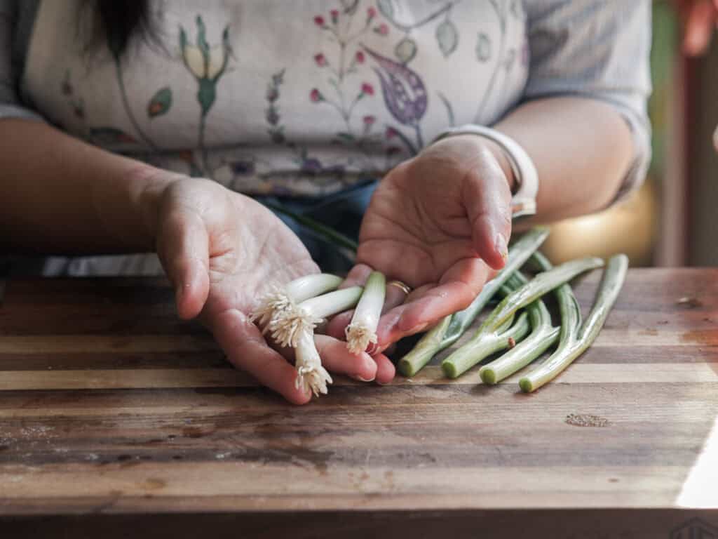 A person wearing an apron holds several trimmed green onions with roots, over a wooden cutting board that has more green onions on it. The focus is on the hands and green onions.